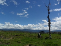 Cascadas Naturales_10