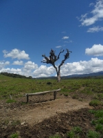 Cascadas Naturales_9