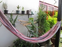 Hostal Alegría_12