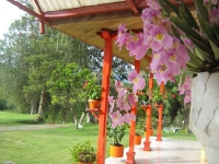Hotel Camping_5