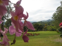 Hotel Camping_6