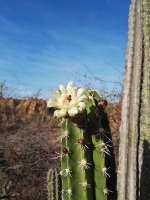 Tour desierto de la Tatacoa_16