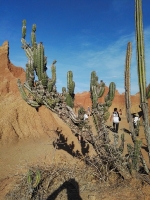 Tour desierto de la Tatacoa_29
