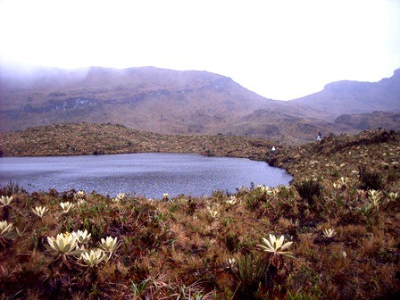 laguna